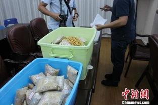 泉州诈骗爆料案件最新,揭秘连环骗局，受害者血本无归！